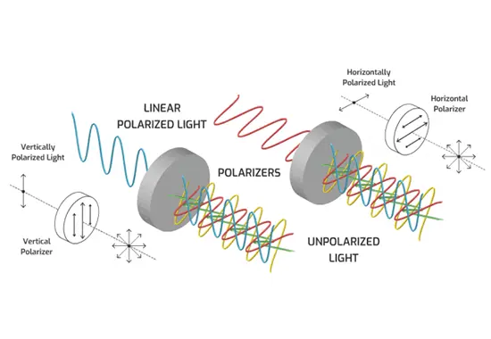 Bena Optics' Expertise in Polarization