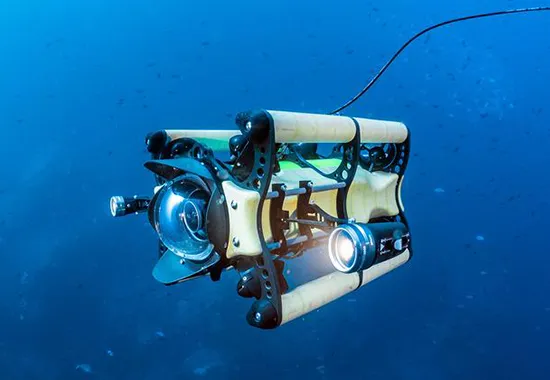 Custom Coated Dome Assembly